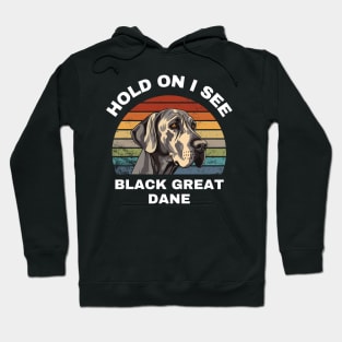 Hold On I see a Black Great Dane Hoodie